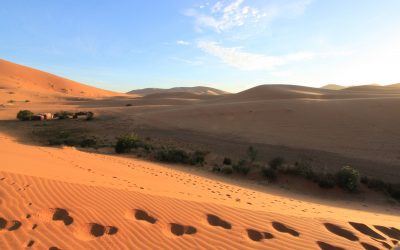 Armchair Traveller presents “Morocco: Sea, Sand, and Summit” Online Talk with Lola Reid Allin