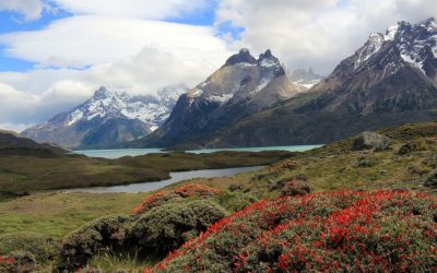 Chile – Explore Top to Bottom
